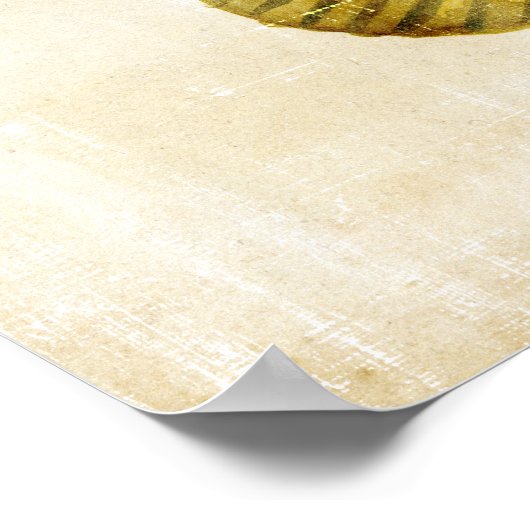 Farbige Fische Poster (Ecke)