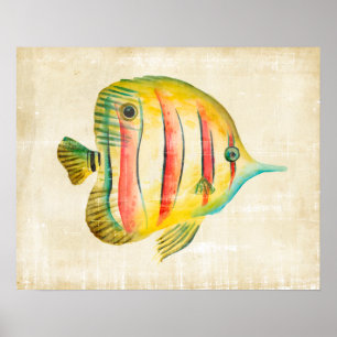 Farbige Fische Poster