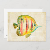 Farbige Fische Postkarte (Vorne/Hinten)