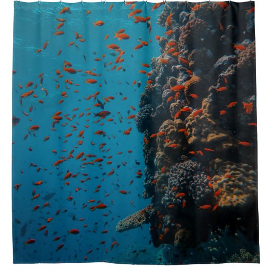 Farbige Fische und Riffe Duschvorhang (Vorderseite)