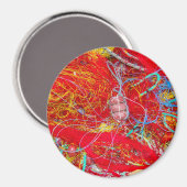 Farbige Fischernetze Magnet (Vorderseite/Rückseite)