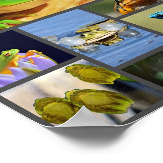Farbige Frösche, Collage Poster (Ecke)