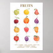 farbige Fruchtsammlung Aquarell Poster (Vorne)