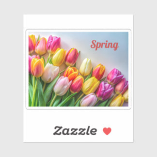 Farbige Frühlings-Tulpen-Rand Floral Natur Aufkleber
