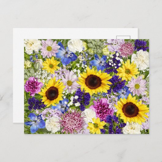 Farbige Frühlingsblumen Blumenzwiebeln Foto Postkarte (Vorne/Hinten)