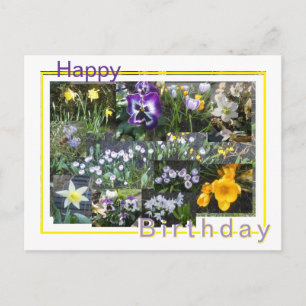Farbige Frühlingsblumen Collage Geburtstagspostkar Feiertagspostkarte