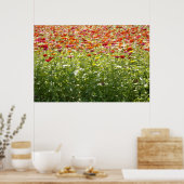 Farbige Frühlingsblumen Poster (Küche)