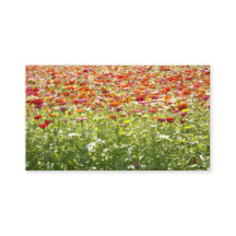Farbige Frühlingsblumen