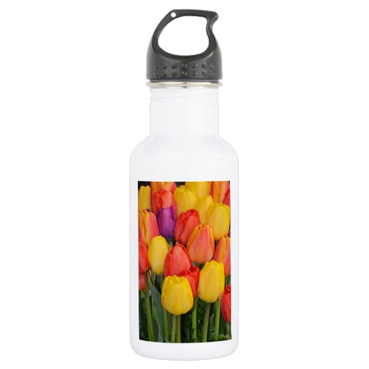 Farbige Frühlingstuben Edelstahlflasche (Vorderseite)