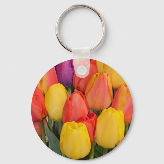 Farbige Frühlingstuben Schlüsselanhänger (Vorderseite)