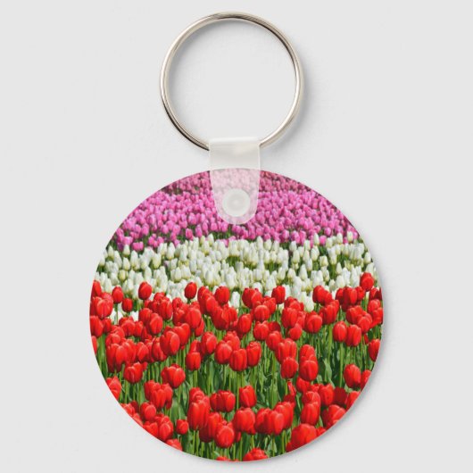 Farbige Frühlingstüppchen Schlüsselanhänger (Vorderseite)