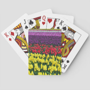 Farbige Frühlingstüppchen Spielkarten