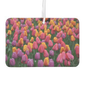 Farbige Frühlingtulips Autolufterfrischer (Rückseite)