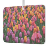 Farbige Frühlingtulips Autolufterfrischer (Links)