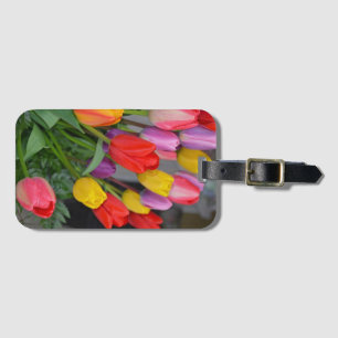 Farbige Frühlingtulips Gepäckanhänger