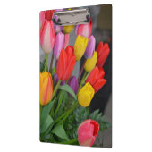 Farbige Frühlingtulips Klemmbrett (Links)