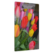 Farbige Frühlingtulips Klemmbrett (Rechts)