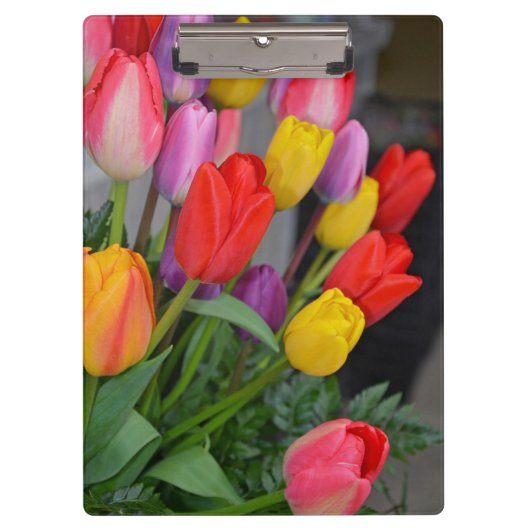 Farbige Frühlingtulips Klemmbrett (Vorderseite)