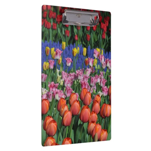 Farbige Frühlingtulips Klemmbrett (Rechts)