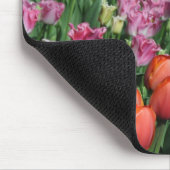 Farbige Frühlingtulips Mousepad (Ecke)
