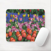 Farbige Frühlingtulips Mousepad (Mit Mouse)
