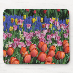 Farbige Frühlingtulips Mousepad