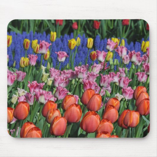 Farbige Frühlingtulips Mousepad (Vorne)