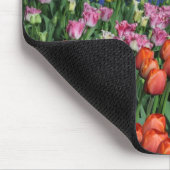 Farbige Frühlingtulips Mousepad (Ecke)