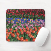 Farbige Frühlingtulips Mousepad (Mit Mouse)