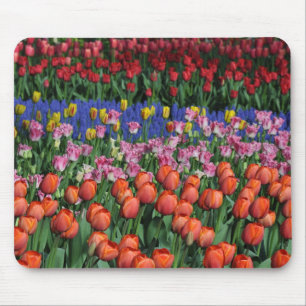 Farbige Frühlingtulips Mousepad
