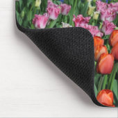 Farbige Frühlingtulips Mousepad (Ecke)