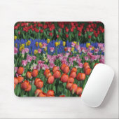 Farbige Frühlingtulips Mousepad (Mit Mouse)