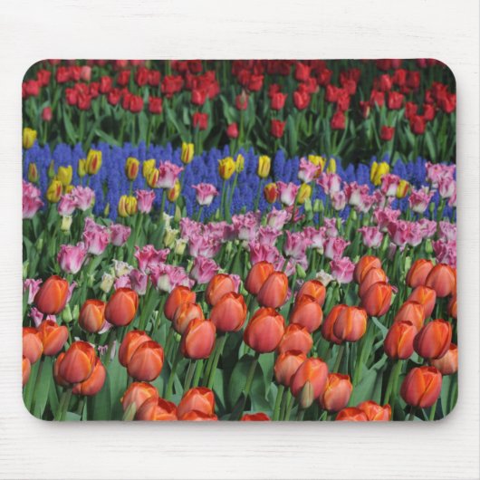 Farbige Frühlingtulips Mousepad (Vorne)