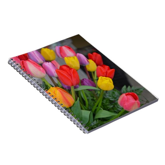 Farbige Frühlingtulips Notizblock (Rechte Seite)