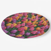 Farbige Frühlingtulips Pappteller (Schrägansicht)