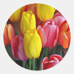Farbige Frühlingtulips Runder Aufkleber