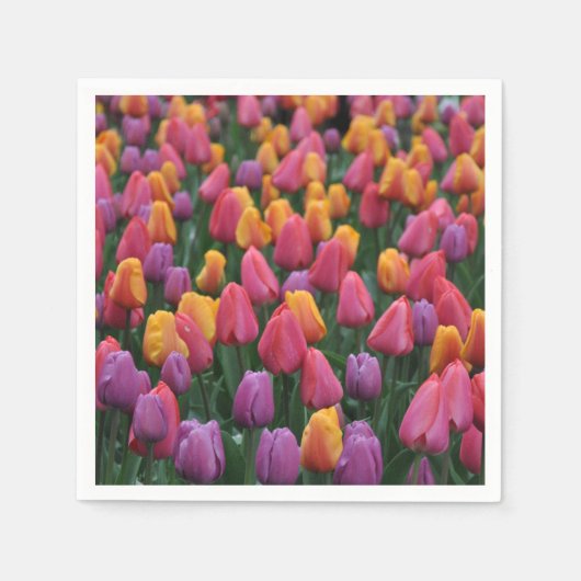 Farbige Frühlingtulips Serviette (Vorderseite)