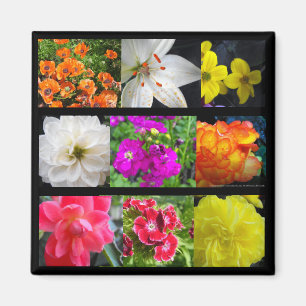 farbige Gartenblumen Magnet