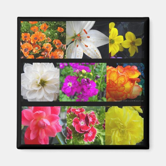 farbige Gartenblumen Magnet (Vorne)