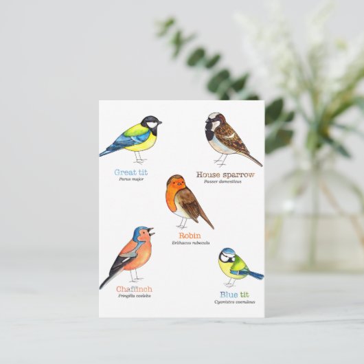 Farbige Gartenvögel Postkarte (Stehend Vorderseite)