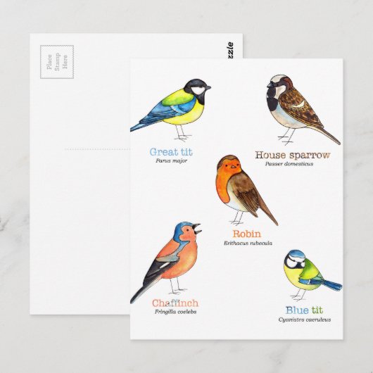 Farbige Gartenvögel Postkarte (Vorne/Hinten)