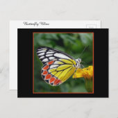 Farbige Gelbe Schmetterling Postkarte (Vorne/Hinten)