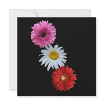 Farbige gemischte florale Daisy-Flachnotizkarte