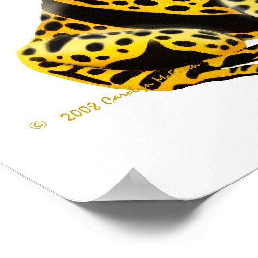 Farbige Giftfrösche drucken Poster (Ecke)