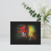 Farbige Goldfish Postkarte (Stehend Vorderseite)