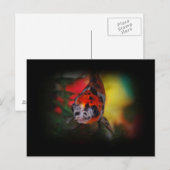 Farbige Goldfish Postkarte (Vorne/Hinten)