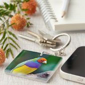 Farbige Gouldianfinze Schlüsselanhänger (Vorderseite rechts)