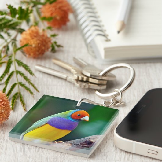 Farbige Gouldianfinze Schlüsselanhänger (Vorderseite rechts)