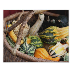 Farbige Gourds im Korb im Korb Herbst 8x10 Fotodruck
