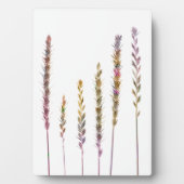 Farbige Gras Fotoplatte (Vorderseite)